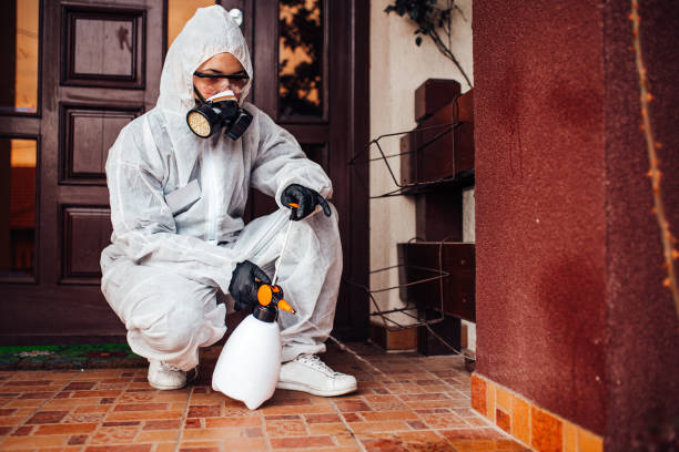 Reliable Ant Control contractor in Jonesville, NC by Nex Pest Control