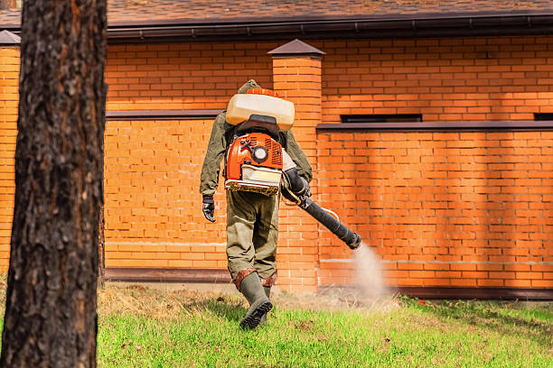 Trusted Ant Control service in Jonesville, NC - Nex Pest Control